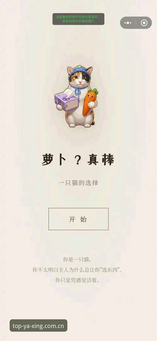 揭秘2026亚星官方注册：实战派玩家的高效入场指南